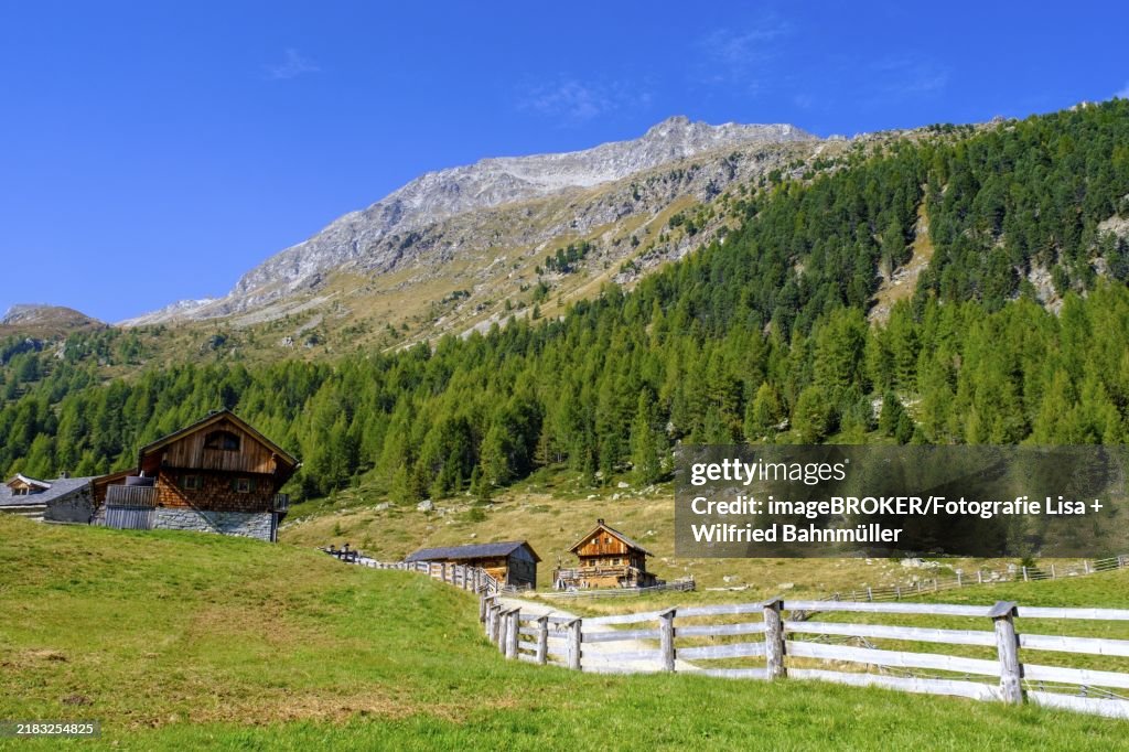 Staller Almen, high valley, Staller Sattel, Defereggen Valley, East Tyrol, Austria, Europe