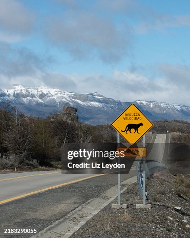Sign telling drivers to reduce speed in Puma habitat: Torres del Paine NP, Chile Sign telling drivers to reduce speed in Puma habitat: Torres del Paine NP, Chile