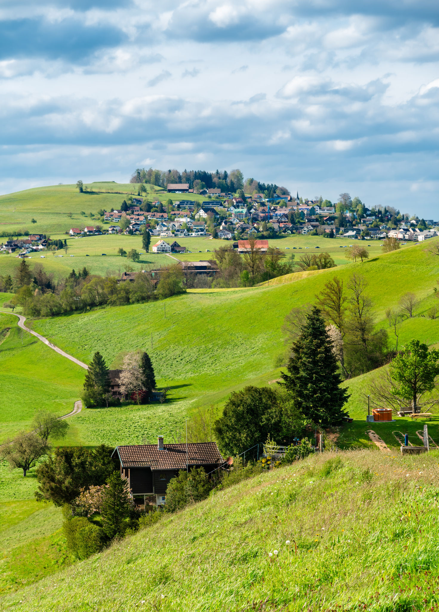 horgen landscape