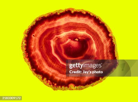 Macro agate geode Macro agate geode