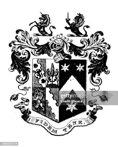 heraldry coat of arms emblem: john vincent hornyold - dagger stock illustrations