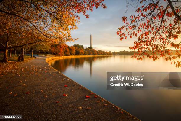 washington dc in the fall - washington dc bildbanksfoton och bilder