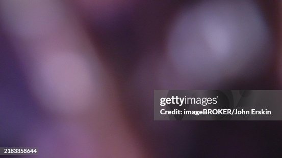 Beautiful modern abstract background created using cross-polarization. Looks great on web page Beautiful modern abstract background created using cross-polarization. Looks great on web page