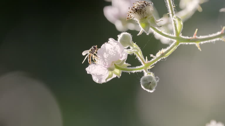 imagen en miniatura de vídeo