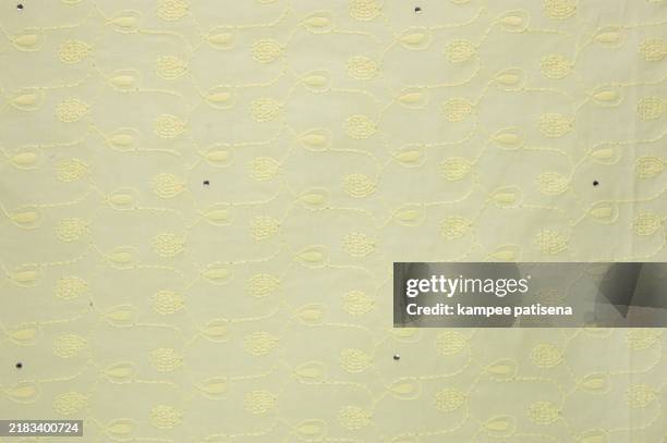 full frame shot of embroidery lacy fabric - retro styled glamour shot photos et images de collection