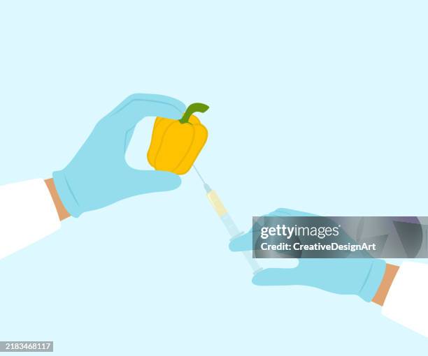 scientist injecting genetically modified liquid into a bell pepper. genetically modified foods concept - gloves stock illustrations