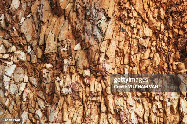 Topsoil Pattern 67 Topsoil Texture Stock Photos, High-Res Pictures, and Images - Getty ...