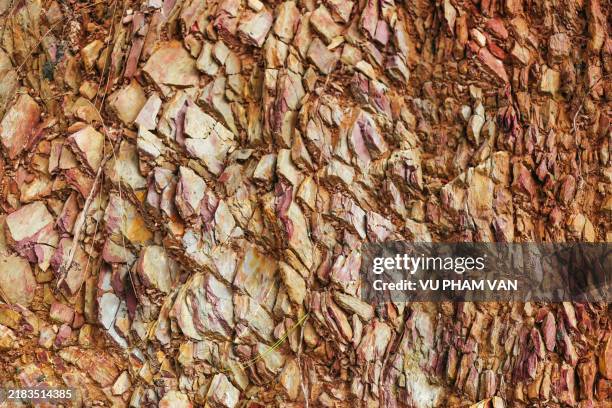 Topsoil Pattern 67 Topsoil Texture Stock Photos, High-Res Pictures, and Images - Getty ...