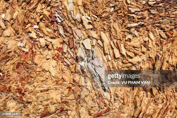 Topsoil Pattern 65 Topsoil Texture Stock Photos, High-Res Pictures, and Images - Getty ...