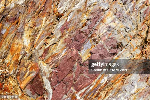 Topsoil Pattern 65 Topsoil Texture Stock Photos, High-Res Pictures, and Images - Getty ...