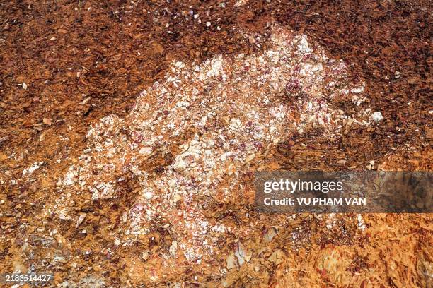 Topsoil Pattern 67 Topsoil Texture Stock Photos, High-Res Pictures, and Images - Getty ...