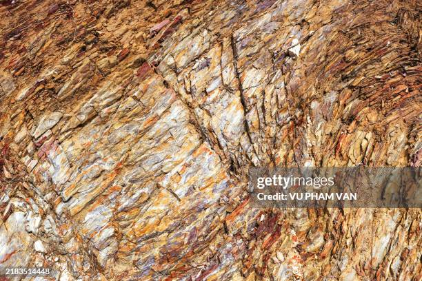 Topsoil Pattern 65 Topsoil Texture Stock Photos, High-Res Pictures, and Images - Getty ...