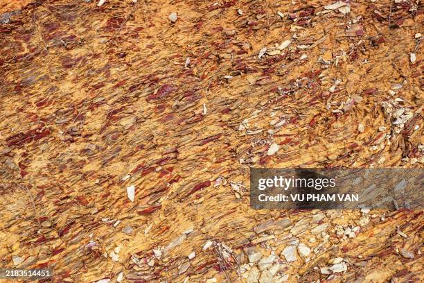 Topsoil Pattern 67 Topsoil Texture Stock Photos, High-Res Pictures, and Images - Getty ...