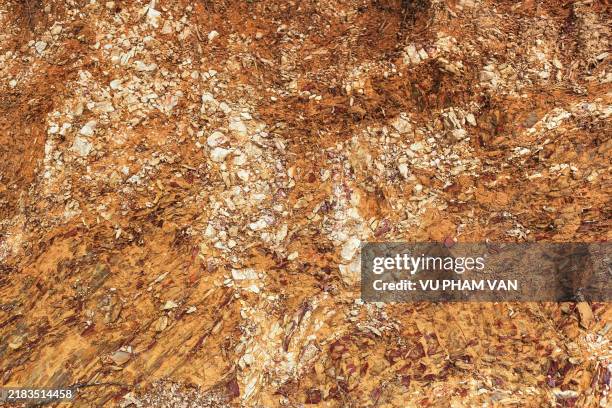 Topsoil Pattern 65 Topsoil Texture Stock Photos, High-Res Pictures, and Images - Getty ...