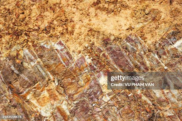 Topsoil Pattern 67 Topsoil Texture Stock Photos, High-Res Pictures, and Images - Getty ...