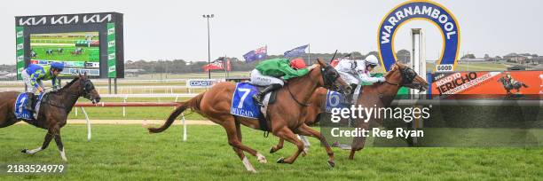 Stupendous ridden by Logan Bates wins the Town & Country Pizza & Pasta F&M BM64 Handicap at Warrnambool Racecourse on November 11, 2024 in...