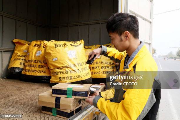 Staff member scans a QR code to unload a delivery from a transport vehicle in Binzhou, Shandong province, China, Nov 11, 2024.
