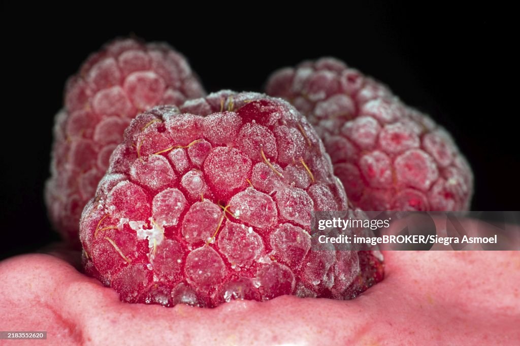 Close-up of three frozen raspberries on a raspberry ice cream, studio photography with black background