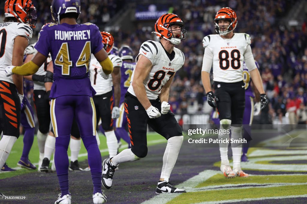 Cincinnati Bengals v Baltimore Ravens