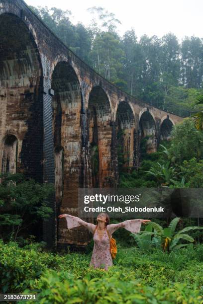 elegant woman standing on the background of nine arch bridge in sri lanka - ponte em arco imagens e fotografias de stock