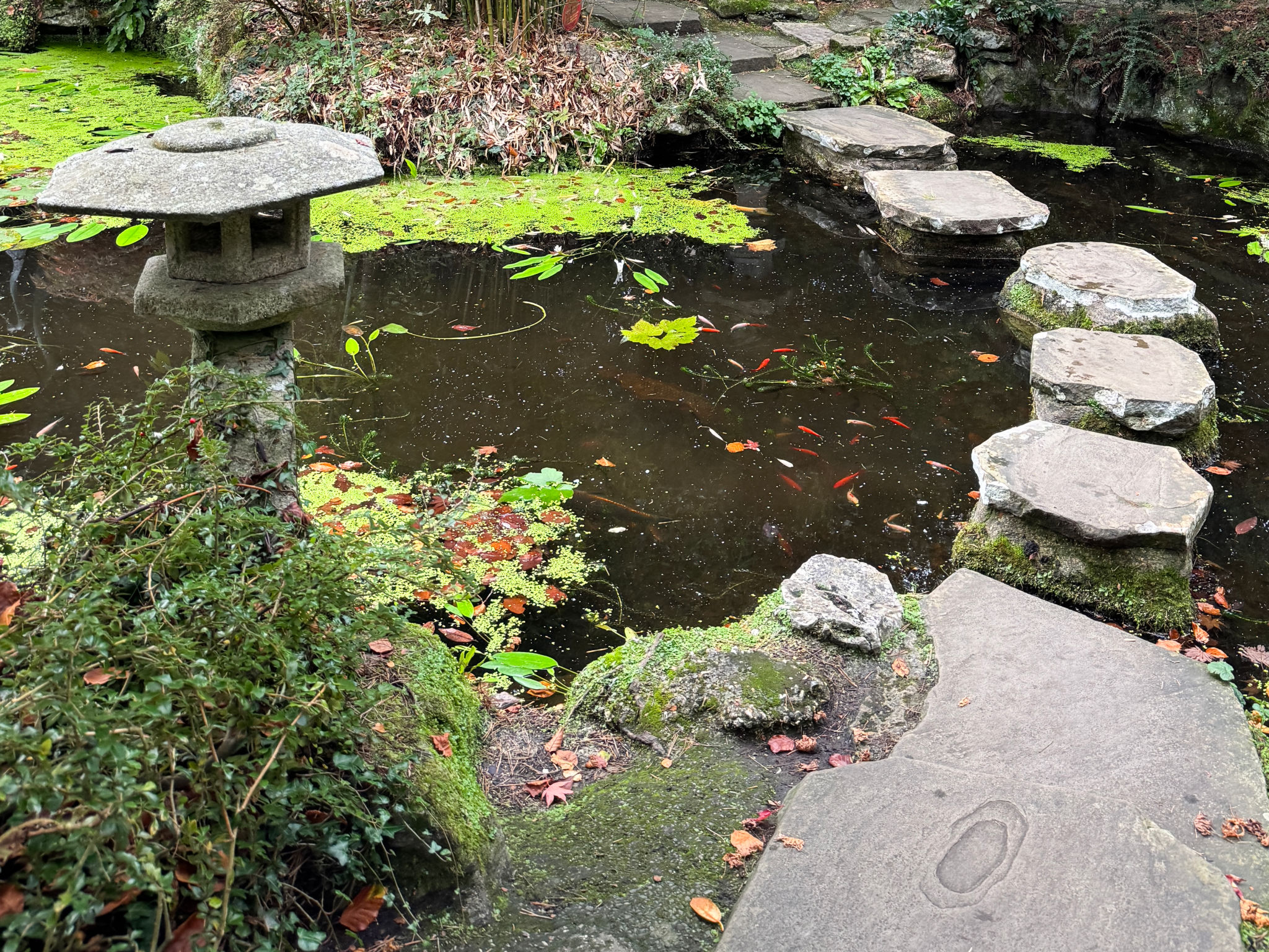water garden feature