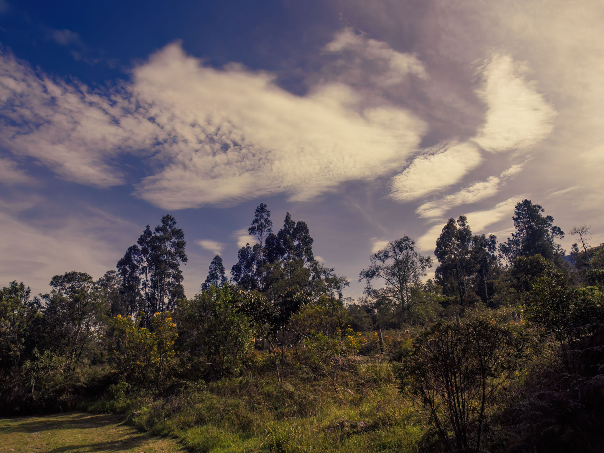 tocancipa nature