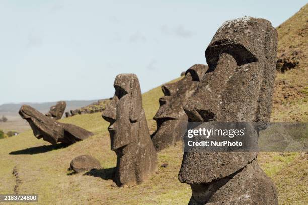 The Moai of Rapa Nui are at the Rano Raraku site on Easter Island.