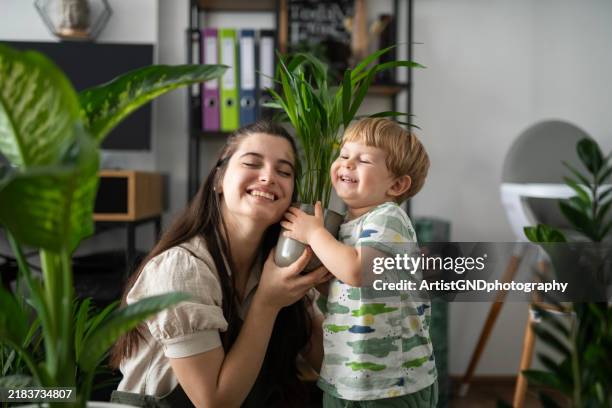 porträt einer schönen jungen familie, die zimmerpflanzen zu hause zusammen pflanzt und gärtnert. - zimmerpflanze stock-fotos und bilder