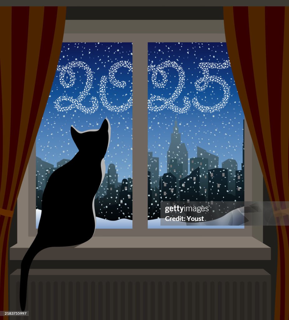 Cat Looking at Winter City. New Year 2025