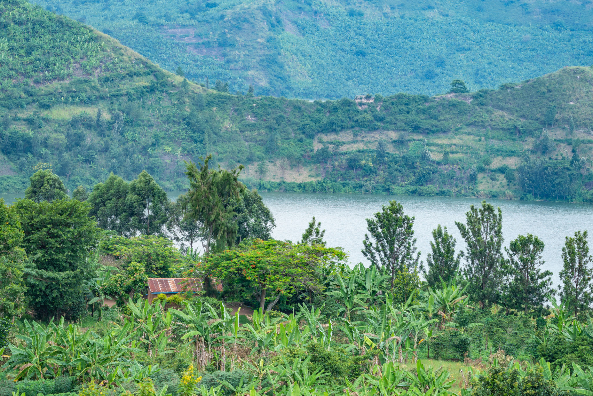 uganda real estate