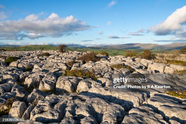 newbiggin crags, cumbria, england - piedra caliza fotografías e imágenes de stock