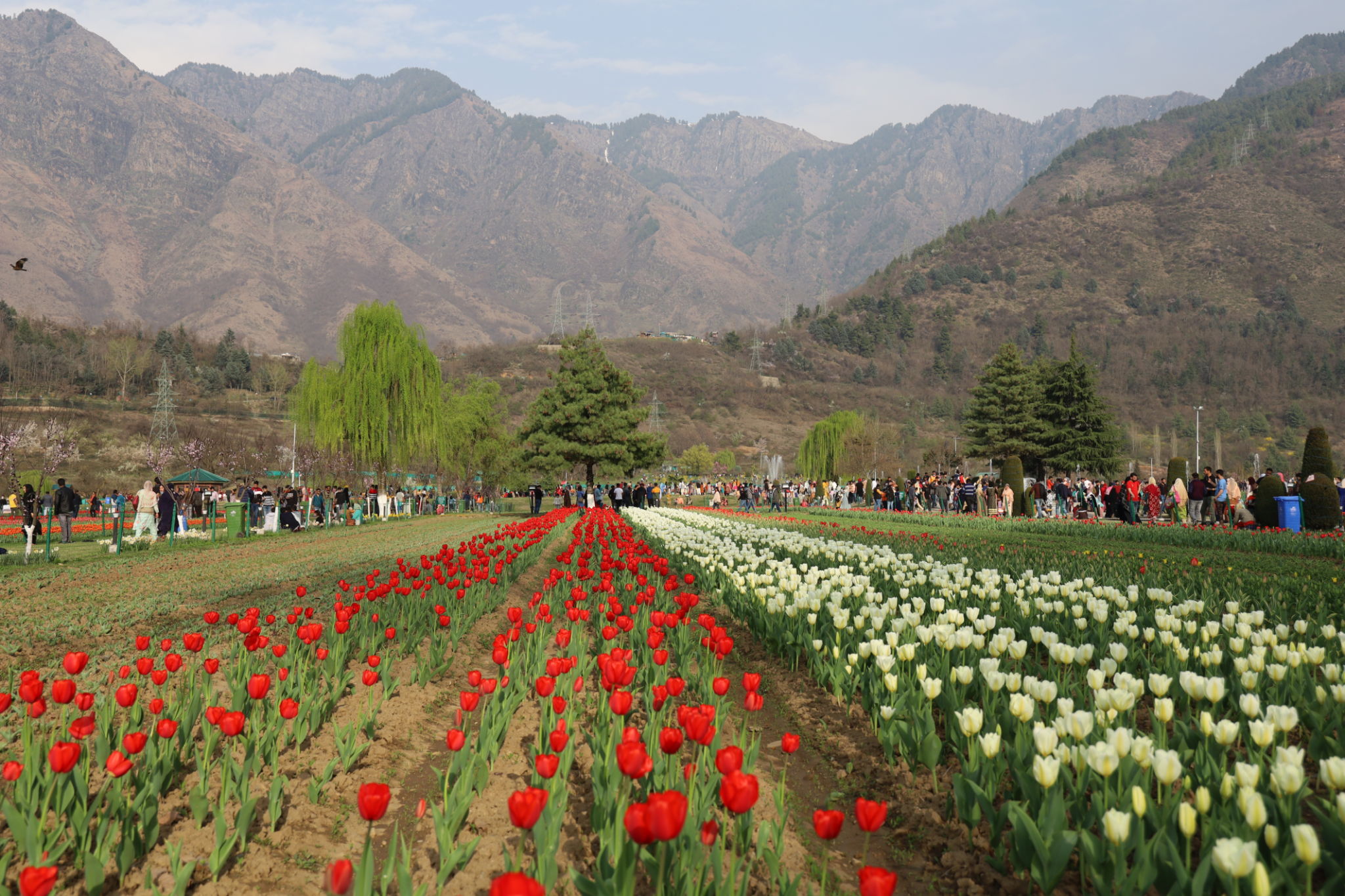 srinagar attractions