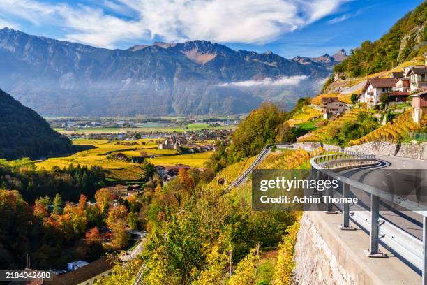autumnal vineyards, switzerland, europe - rhone stock pictures, royalty-free photos & images