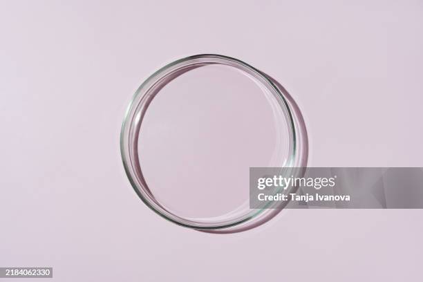 blank empty petri dish on pink background - petri dish stock pictures, royalty-free photos & images