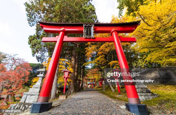 japanisches torii-tor an einem schreineingang im herbst - japan stock-fotos und bilder