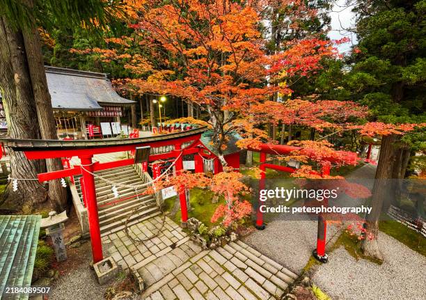 high angle view of a japanese torii gates and shrine with orange maple trees - torii gate stock pictures, royalty-free photos & images