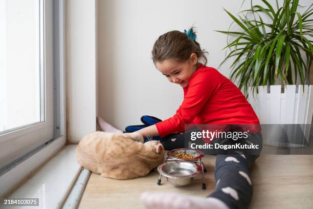 heartwarming interactions between children and their pets, showing the responsibilities, compassion and learning experiences involved in pet care. mutual love and trust between children and their furry friends. pet feeding, grooming, bonding moments. - feeding cat stock pictures, royalty-free photos & images