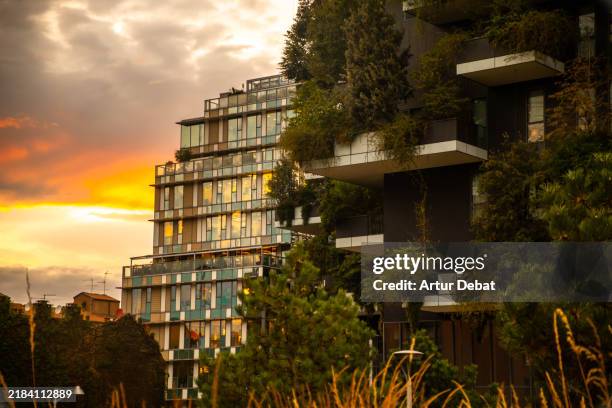 urban greenery at sunset, modern architecture with vertical garden in the financial district - efficient building stock pictures, royalty-free photos & images