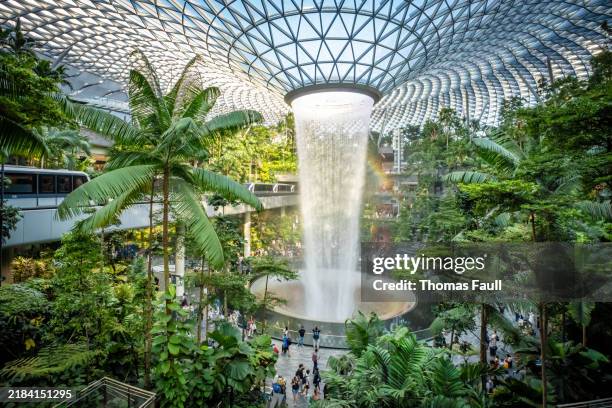 lush planting at the jewel in changi airport in singapore - changi airport stock pictures, royalty-free photos & images