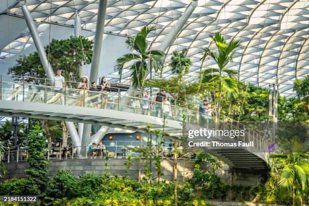 changi airport in singapore people on footbridge viewing walkway - changi airport stock pictures, royalty-free photos & images