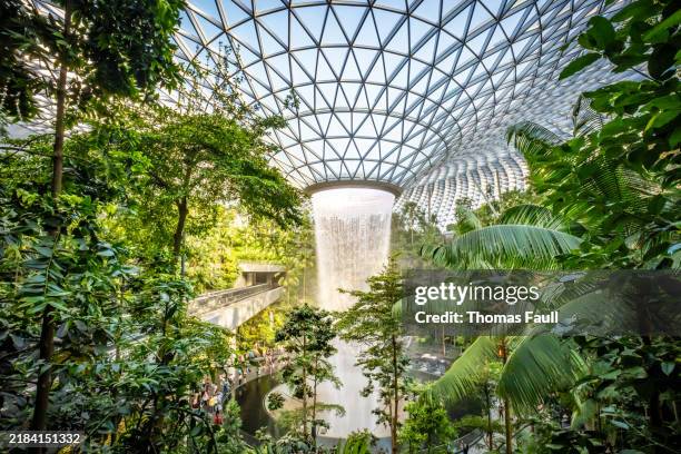 the jewel waterfall at changi airport in singapore - changi airport stock pictures, royalty-free photos & images