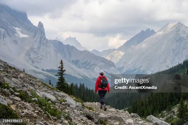 woman hikes along mountain trail - canadese rocky mountains stockfoto's en -beelden