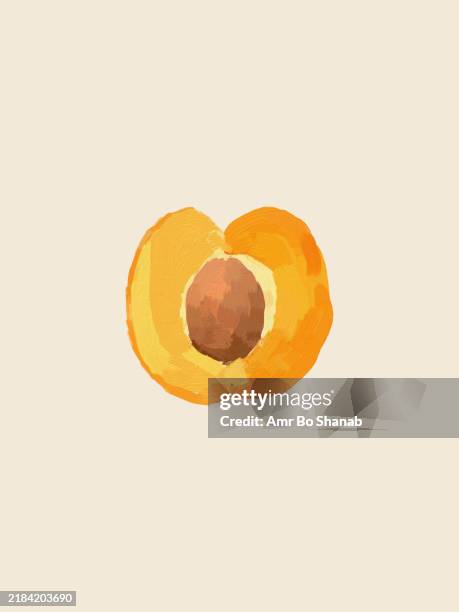 abstract painting of an apricot cut in half revealing its stone - apricot halved stock illustrations