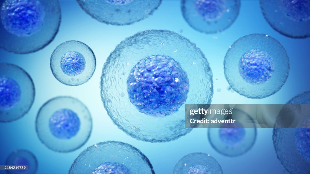 Close-up view of blue cellular structures floating in a bright blue background, illustrating cell biology under microscopic examination