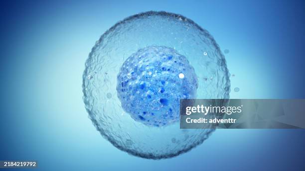 close-up view of blue cellular structure floating in a bright blue background, illustrating cell biology under microscopic examination - celdeling stockfoto's en -beelden