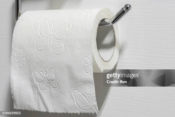toilet roll holder with toilet paper - carta igienica foto e immagini stock