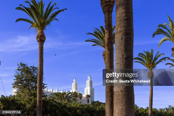 palm trees framing casablanca architecture, the arab league park, morocco - casablanca photos et images de collection