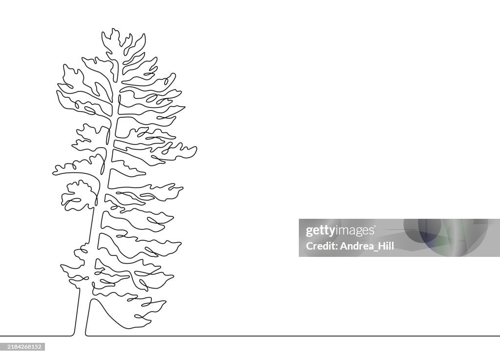 Pine Tree Continuous Line Drawing with Editable Stroke and Copy Space