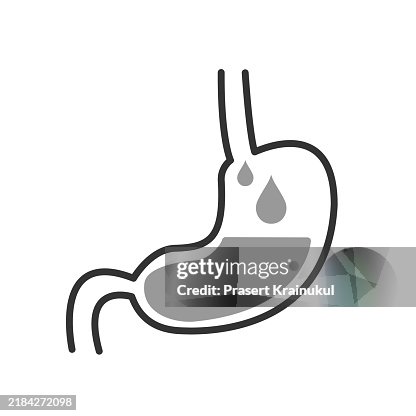 Digestive system icon vector. Digestive system icon vector.