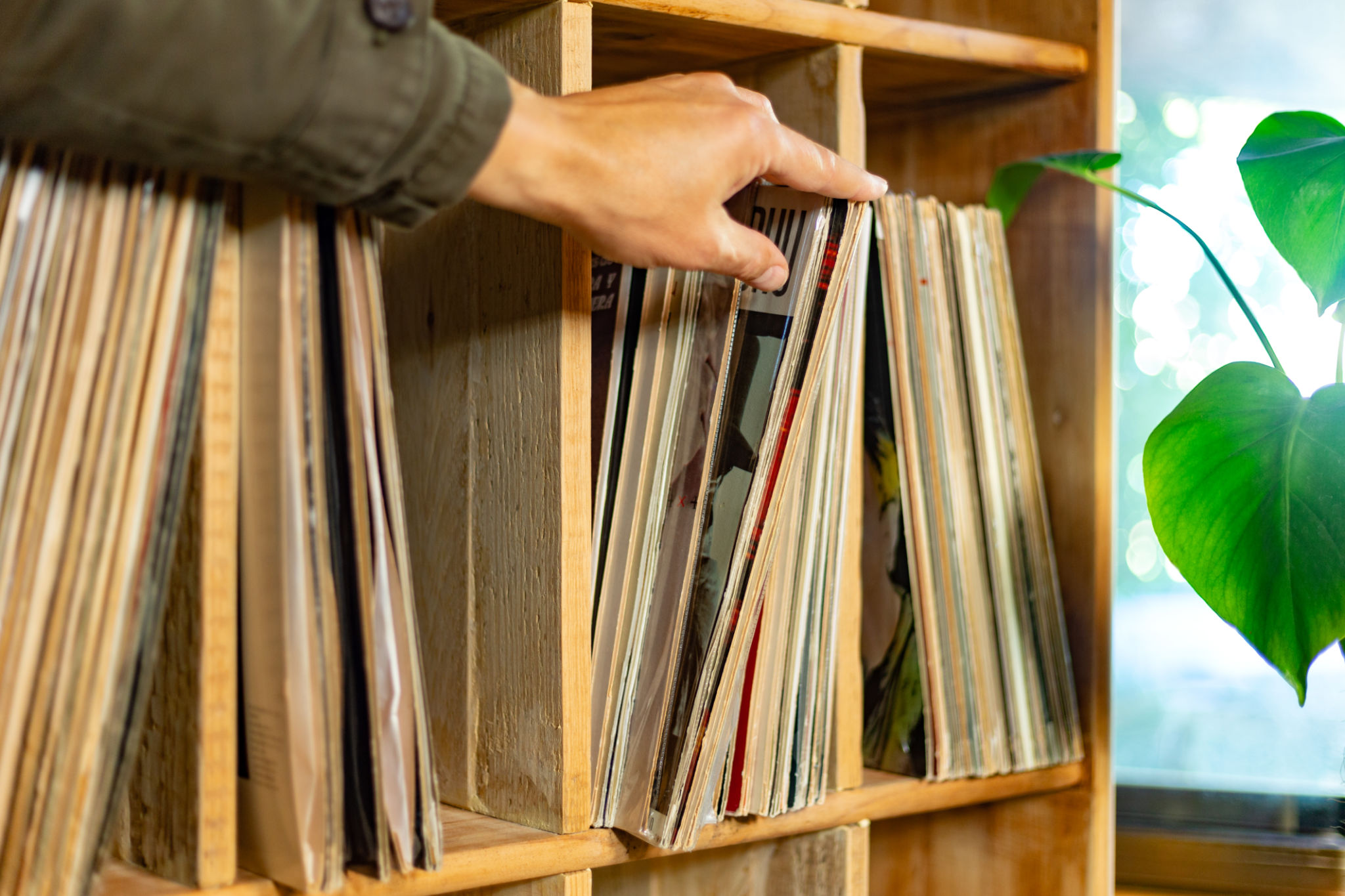 search dj